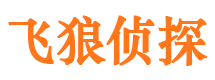 清丰侦探公司